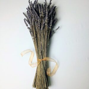 Premium long-lasting dried lavender bundle, gift-ready