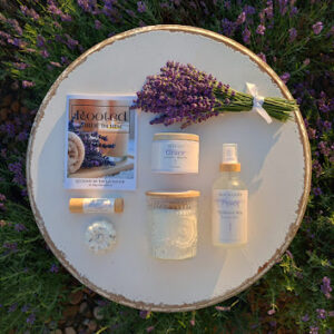 Abide Collection